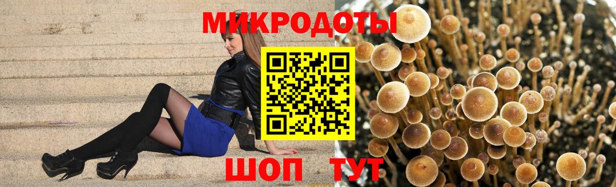 Псилоцибиновые грибы MAGIC MUSHROOMS  Вход с VPN  Псилоцибиновые грибы Cubensis  Хабаровск 